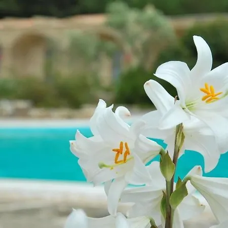 Masseria Santa Teresa 4* Monopoli
